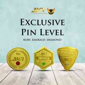 Exclusive Pin Level